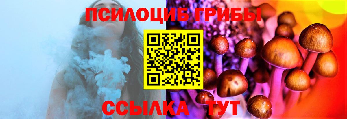 Псилоцибиновые грибы прущие грибы Борзя